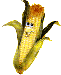 corn.gif