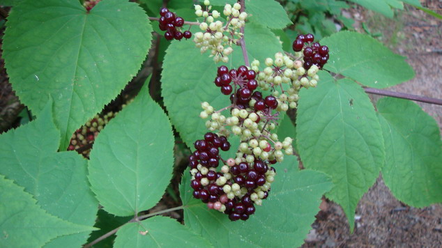 images/Mattawa/DSC01834_resize.JPG (93200 bytes)